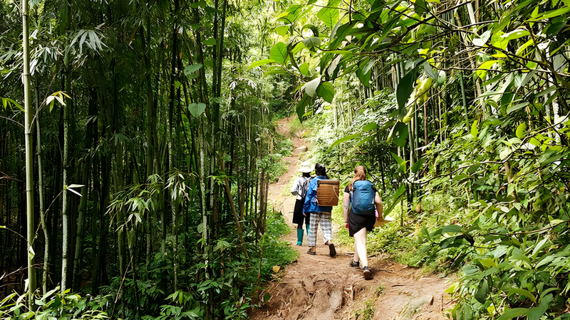 Khám Phá Tả Van – Rừng Tre & Bản Làng (3)
